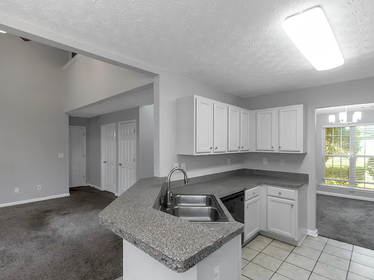 742 White Dove Dr — Photo 10