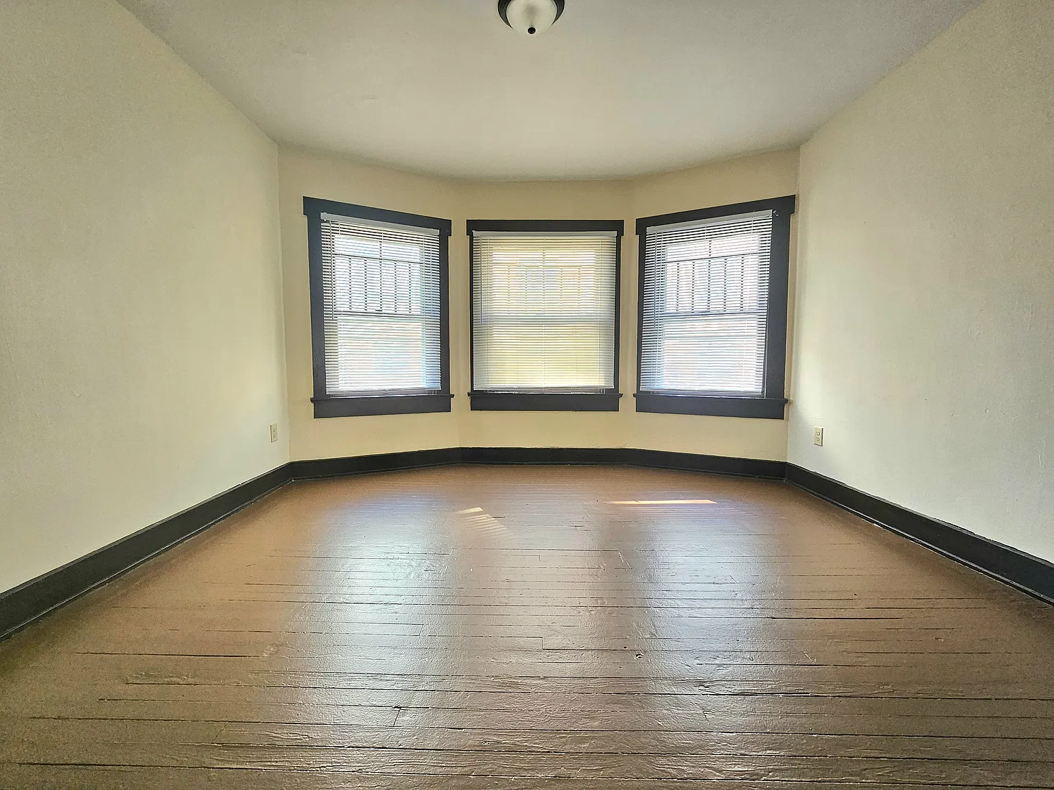 1 bed, 750 sqft, $800 — Photo 2