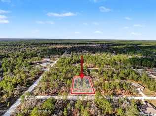 11203 Shivering Owl Ave, Brooksville, FL 34614