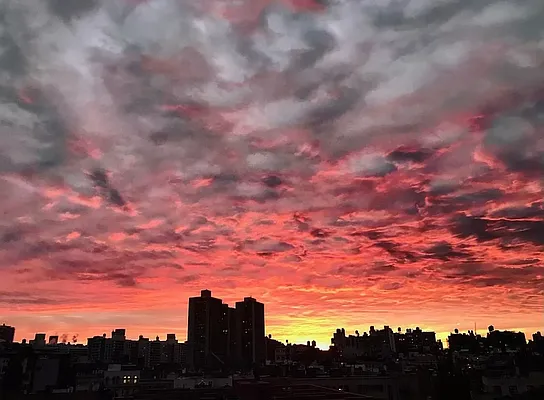 Rented by Compass | media 10