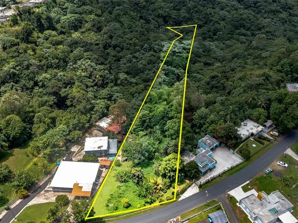 Cuchillas Ward State Rd #618-KM16, Morovis, PR 00687