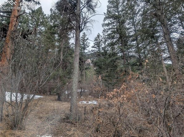 Mountain Rd, Cascade, CO 80809