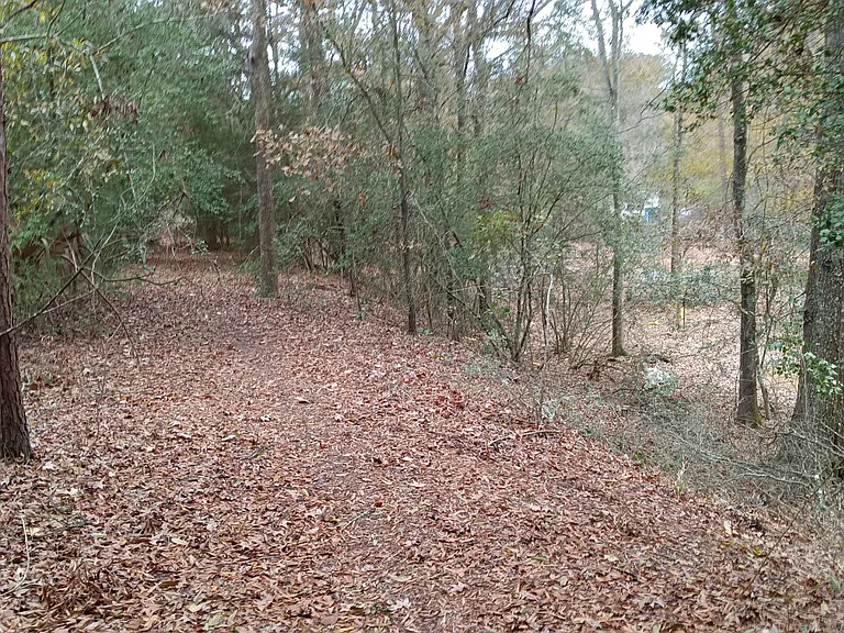 Royal Oaks — Photo 13