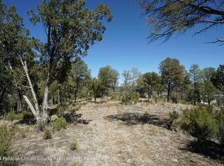 100 Crown Dr, Ruidoso, NM 88345