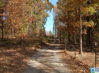 249 Brown Hill Rd, Steele, AL 35987