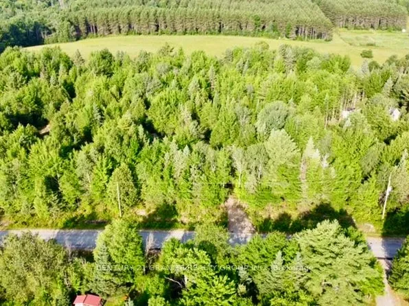 5280 Boulter Rd, Carlow/mayo, ON K0L 1C0