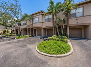 919 Normandy Trace Rd, Tampa, FL 33602