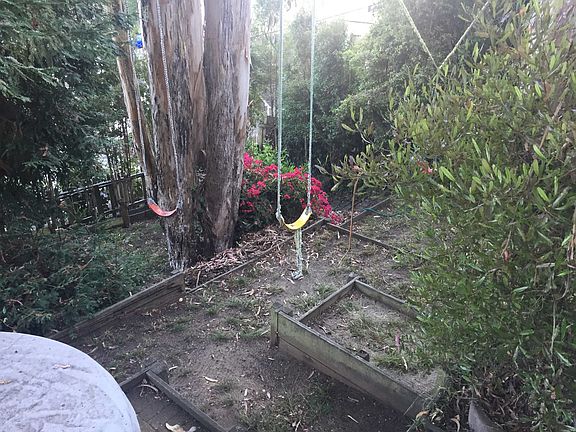 Large yard with lemon tree & sandbox