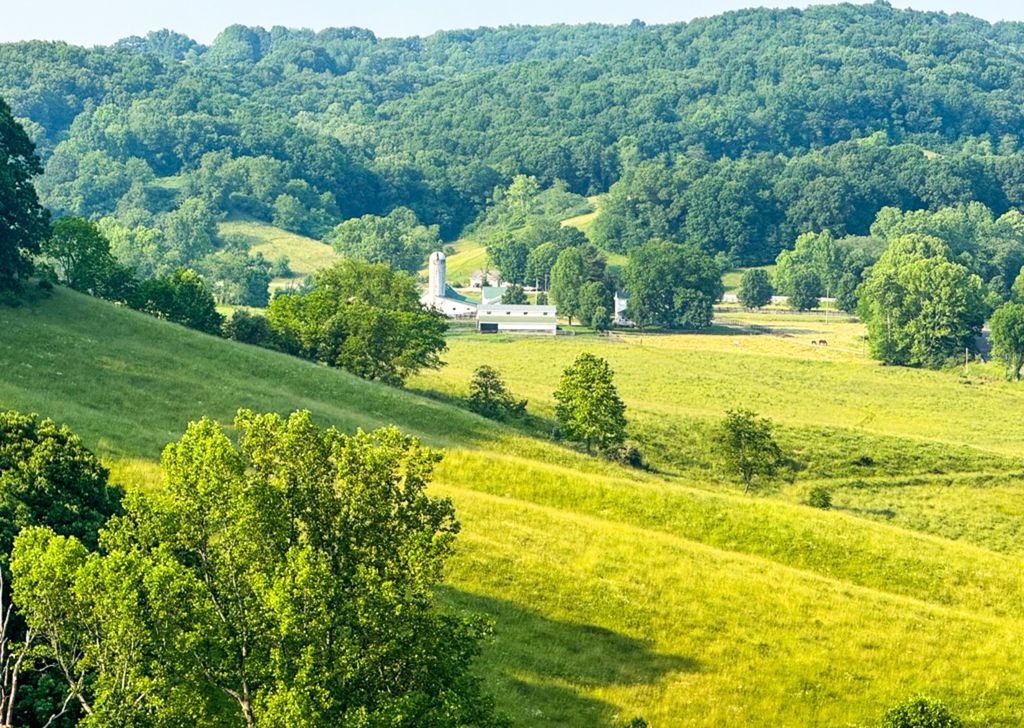 Real estate listing image