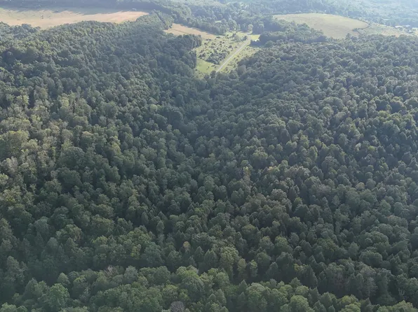 59/ACRE S Kunselman Rd, Brookville, PA 15825