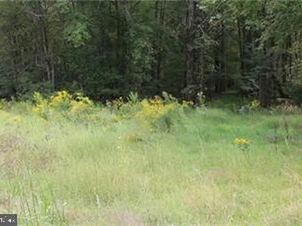 LOT 1 Summer Valley Rd, New Ringgold, PA 17960
