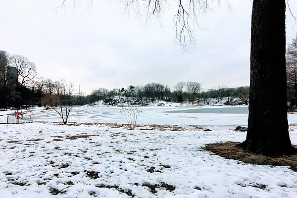 Rented by Voro, LLC | media 23