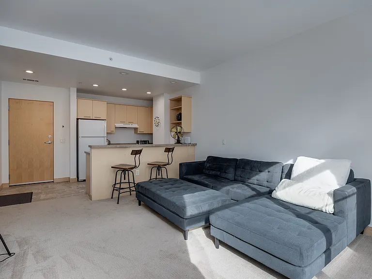 309 W Washington Ave #204 — Photo 11
