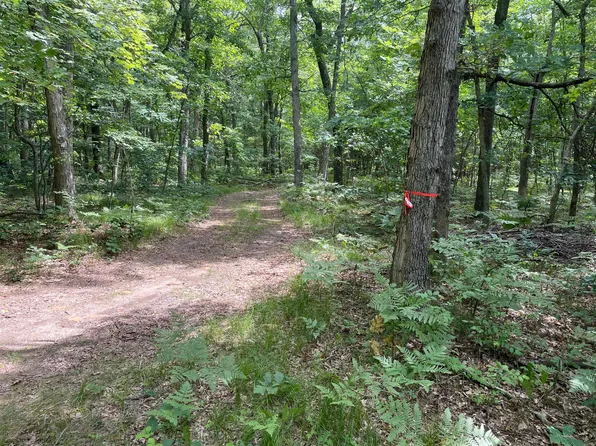 51 E McKinley Rd, Montague, MI 49437