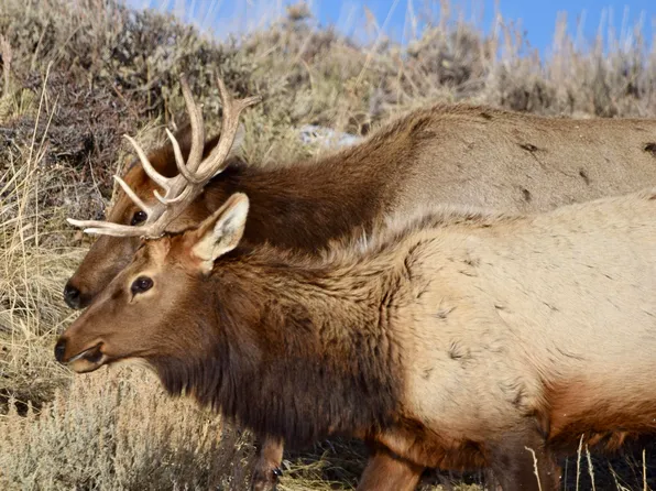 County Road 76, Hayden, CO 81639