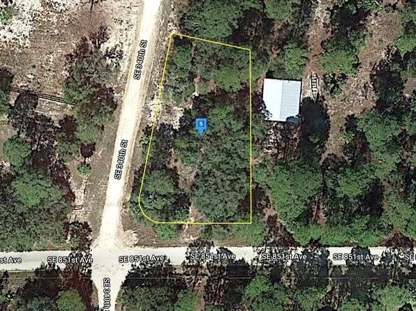 81 SE 340th St #91, Old Town, FL 32680