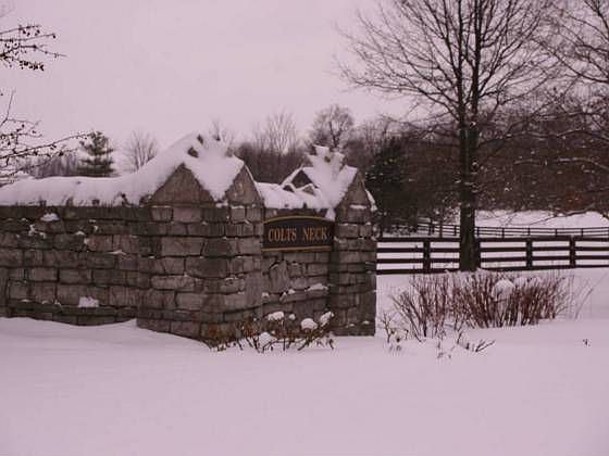 2nd image of 2451 Swisher Creek Dr
