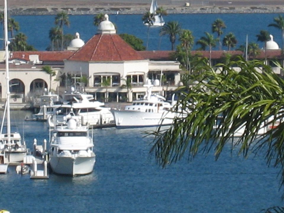 Close up of Harbor