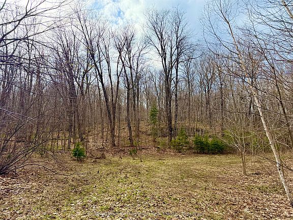 2nd image of 0A S Maple Dr