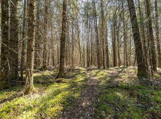 0 W Clover Rd S, Winter, WI 54896