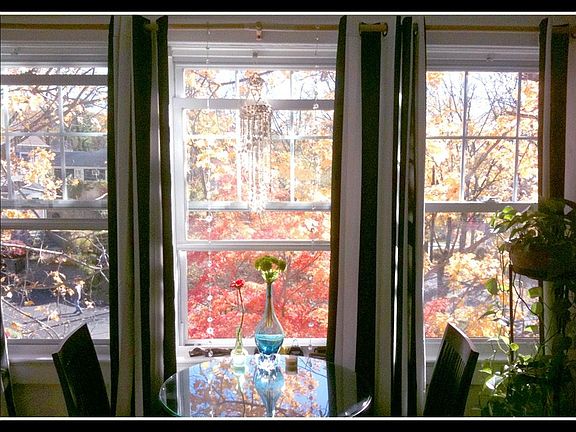 fall views from Kitchen window