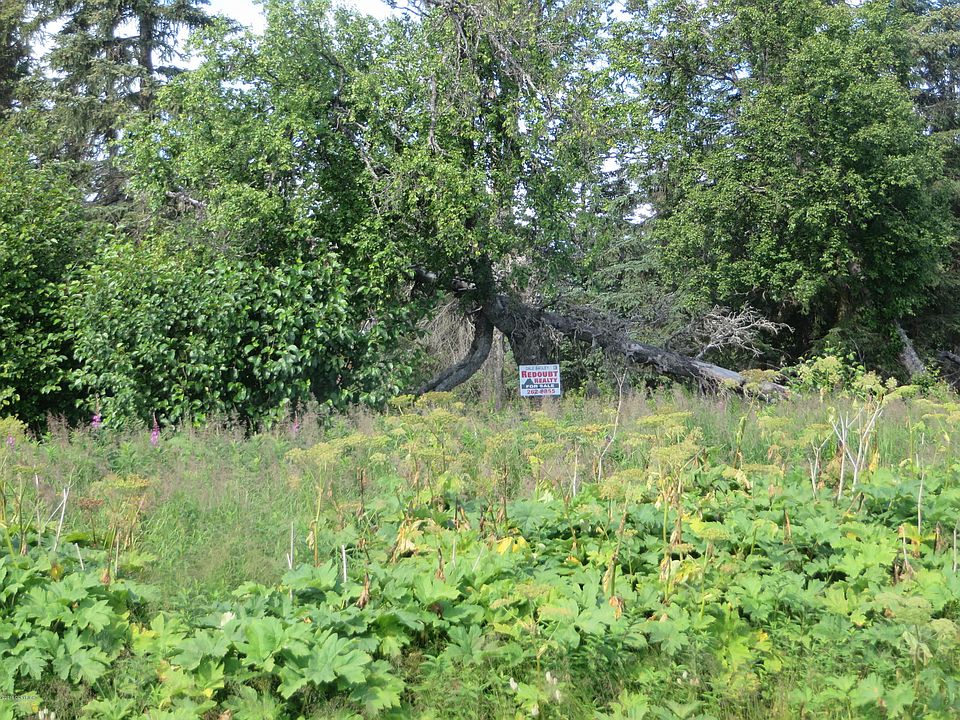 1st image of 14185 Sterling Hwy