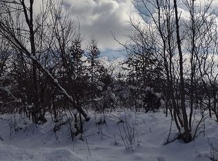 18065 Day Lake Ct, Vandalia, MI 49095