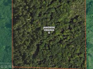 0 Cassiday Rd, Gladwin, MI 48624