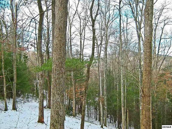 4th image of 10 Hawk View Way Lot 10