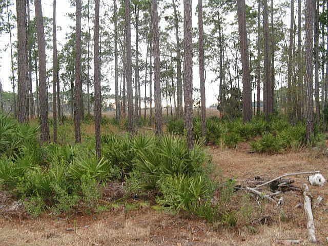 1st image of 406 Millers Branch Dr