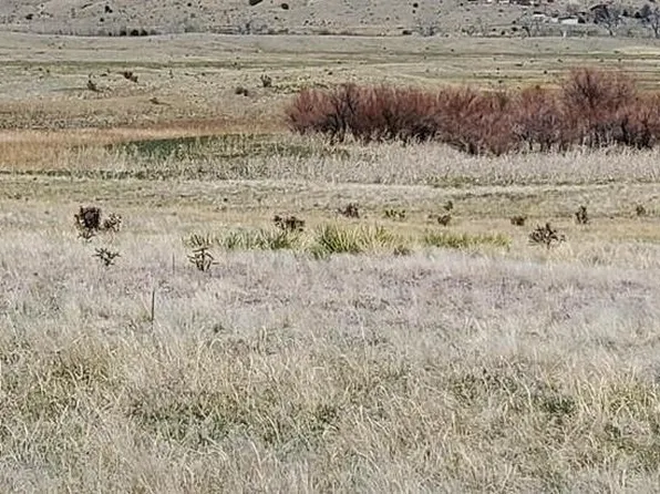 LOT 46 Reno Rd, Pueblo, CO 81004