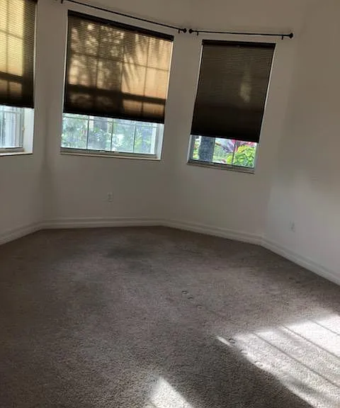11225 Sparkleberry Dr — Photo 29