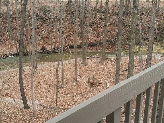 4th image of 3160 Meanderwood Ct
