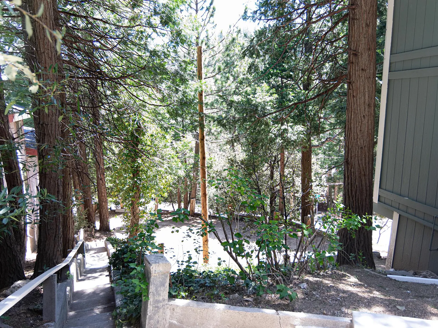 2 bed, 556 sqft, $1,495 — Photo 4