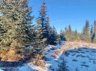 33479 Alder St, Anchor Point, AK 99556