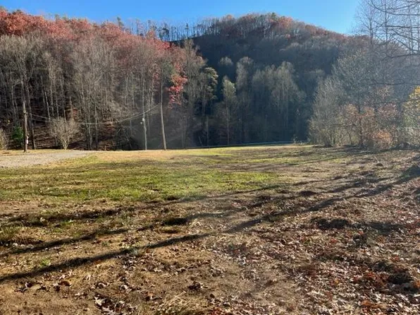 4219 Mendota Rd, Mendota, VA 24270