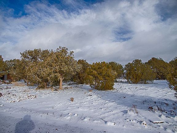 3rd image of 8370 Navajo Dr