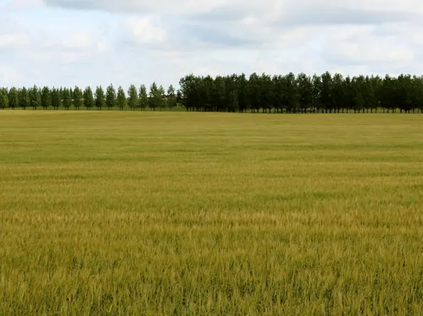 17065 Townline Cir, Pelican Rapids, MN 56572