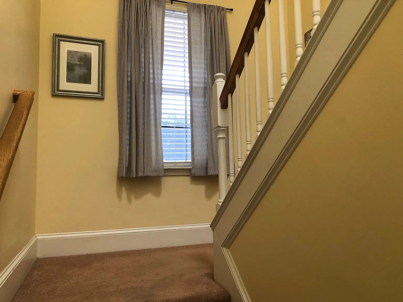 Wyngate - 4430 Lady Banks Ln D2 — Photo 3
