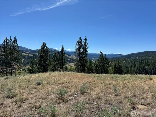 2 B Lundimo Meadows Road, Curlew, WA 99118