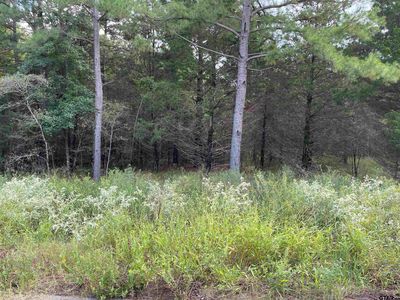 Cedarpark Pl Lot 26, Lindale, TX, 75771