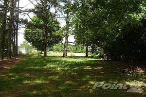 Side Yard