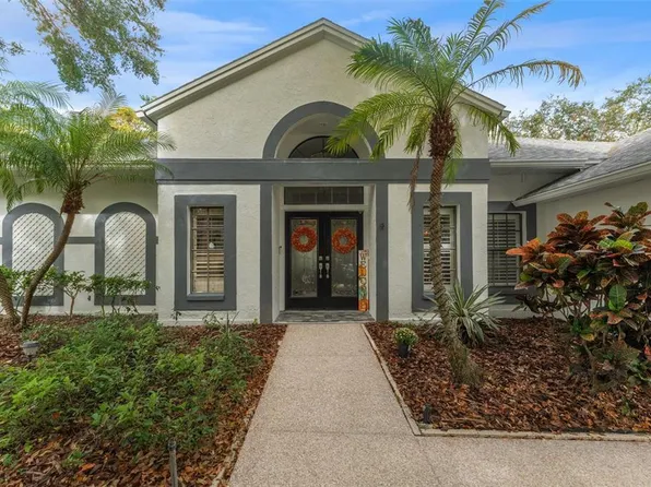 4561 Glenbrook Dr, Palm Harbor, FL 34683