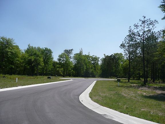 Street Scene of neighborhood