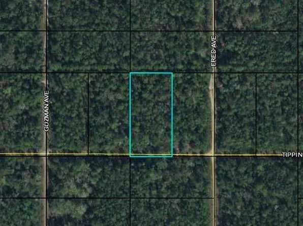 Tippin St, Bunnell, FL 32110
