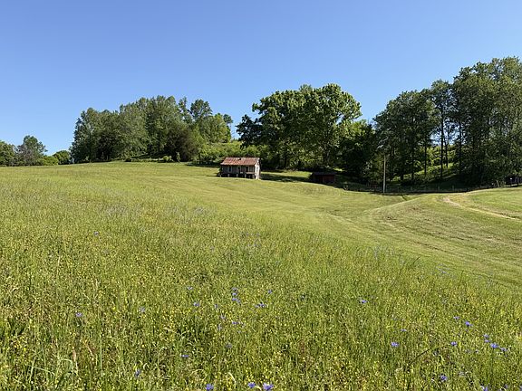 4th image of 5170 Steam Mill Hollow Rd Tract 2