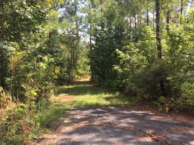 0 Highway 45, Mc Clellanville, SC, 29458