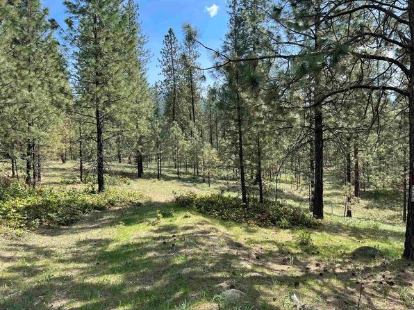 Junco Way, Kettle Falls, WA 99141