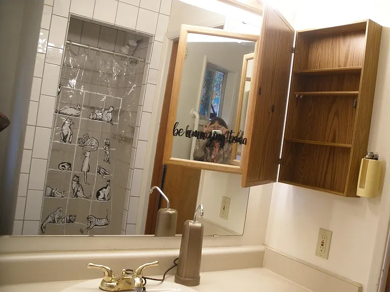 Second medicine cabinet in Master bathroom and shower curtains with cats on plastic. Curtain can be removed.