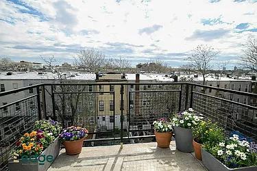 254 Palmetto Street #4A image 1 of 13